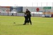 Ver foto 53
