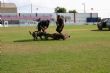 Ver foto 95