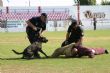 Ver foto 140