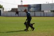 Ver foto 81
