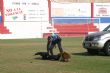 Ver foto 87
