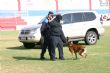 Ver foto 132