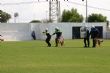 Ver foto 136
