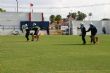 Ver foto 104