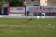 Ver foto 134