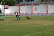 Ver foto 139