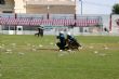 Ver foto 111