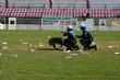 Ver foto 127