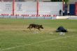 Ver foto 126
