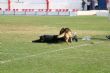 Ver foto 112