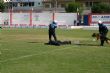 Ver foto 113