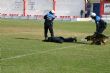 Ver foto 116