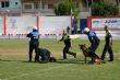 Ver foto 117