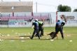 Ver foto 120
