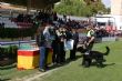 Ver foto 128