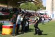 Ver foto 129