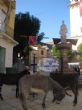 Ver foto 2