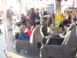 Ver foto 15