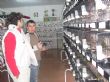 Ver foto 6