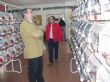 Ver foto 7