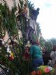 Ver foto 78