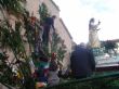 Ver foto 79