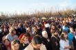 Ver foto 56