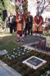 Ver foto 31