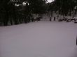 Ver foto 1