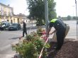 Ver foto 4