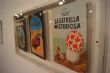 Ver foto 1