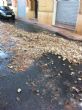 Ver foto 8
