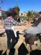 Ver foto 19