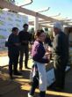 Ver foto 21