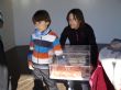 Ver foto 33