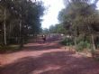Ver foto 3