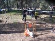 Ver foto 5
