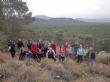 Ver foto 8