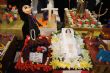 Ver foto 47