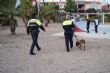 Ver foto 5