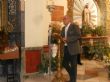Ver foto 15