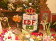 Ver foto 18