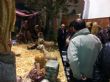 Ver foto 33
