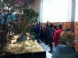 Ver foto 34