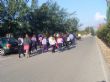 Ver foto 8