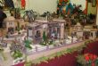 Ver foto 1