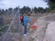 Ver foto 6