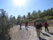 Ver foto 12