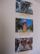 Ver foto 7