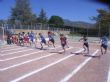 Ver foto 5